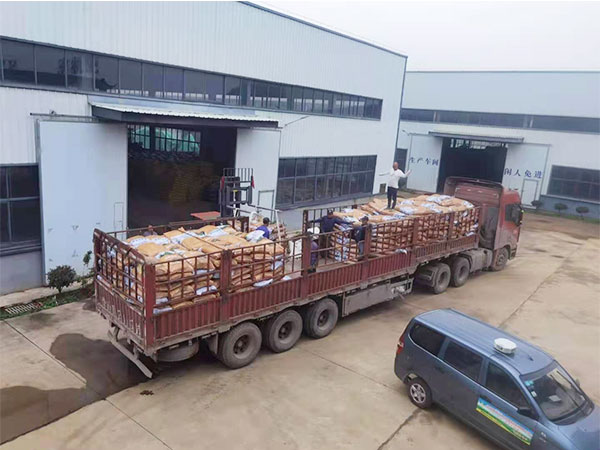 �����л�����ʲô�����ѵ���